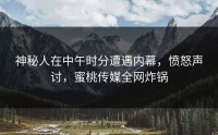 神秘人在中午时分遭遇内幕，愤怒声讨，蜜桃传媒全网炸锅