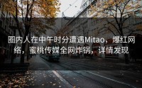 圈内人在中午时分遭遇Mitao，爆红网络，蜜桃传媒全网炸锅，详情发现