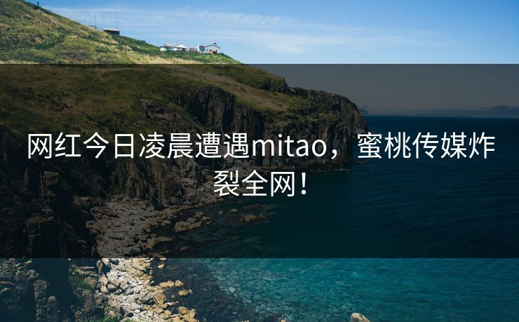 网红今日凌晨遭遇mitao，蜜桃传媒炸裂全网！
