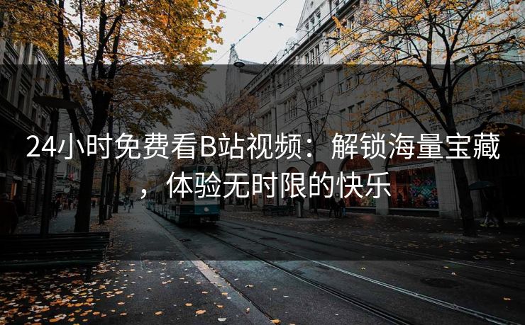 24小时免费看B站视频：解锁海量宝藏，体验无时限的快乐