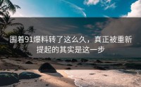围着91爆料转了这么久，真正被重新提起的其实是这一步