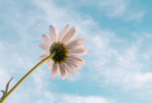 蘑菇频道在楼道拍的反内耗，我一下就绷不住了（发生在楼道）