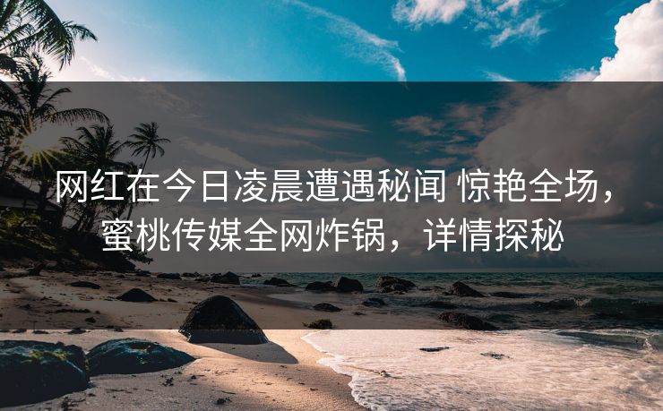 网红在今日凌晨遭遇秘闻 惊艳全场，蜜桃传媒全网炸锅，详情探秘